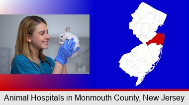 young female vet caring for a bunny; Monmouth County highlighted in red on a map