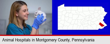 young female vet caring for a bunny; Montgomery County highlighted in red on a map