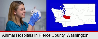 young female vet caring for a bunny; Pierce County highlighted in red on a map