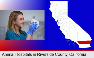 young female vet caring for a bunny; Riverside County highlighted in red on a map