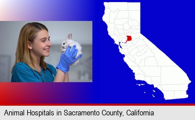 young female vet caring for a bunny; Sacramento County highlighted in red on a map