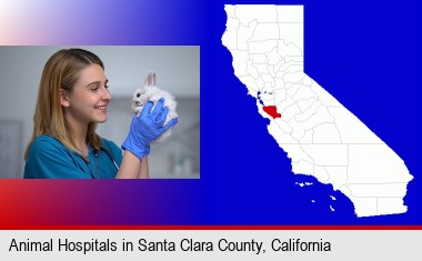 young female vet caring for a bunny; Santa Clara County highlighted in red on a map