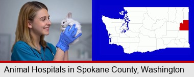 young female vet caring for a bunny; Spokane County highlighted in red on a map