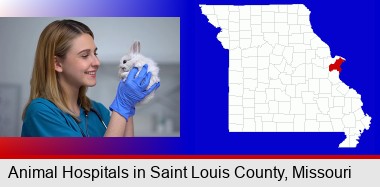 young female vet caring for a bunny; St Francois County highlighted in red on a map