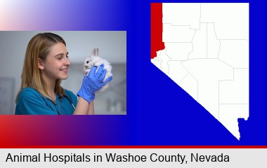 young female vet caring for a bunny; Washoe County highlighted in red on a map