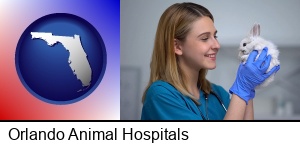 Orlando, Florida - young female vet caring for a bunny
