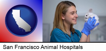 young female vet caring for a bunny in San Francisco, CA