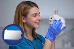 pennsylvania young female vet caring for a bunny