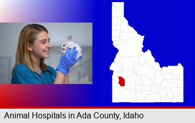 young female vet caring for a bunny; Ada County highlighted in red on a map
