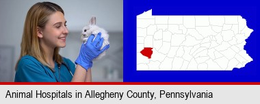 young female vet caring for a bunny; Allegheny County highlighted in red on a map