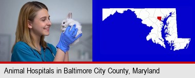 young female vet caring for a bunny; Baltimore City highlighted in red on a map
