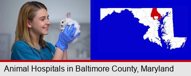 young female vet caring for a bunny; Baltimore County highlighted in red on a map