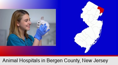young female vet caring for a bunny; Bergen County highlighted in red on a map