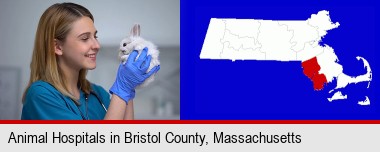 young female vet caring for a bunny; Bristol County highlighted in red on a map