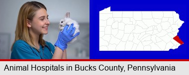 young female vet caring for a bunny; Bucks County highlighted in red on a map