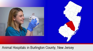 young female vet caring for a bunny; Burlington County highlighted in red on a map