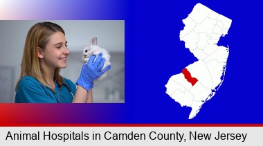 young female vet caring for a bunny; Camden County highlighted in red on a map