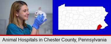 young female vet caring for a bunny; Chester County highlighted in red on a map