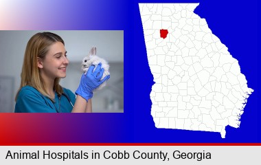 young female vet caring for a bunny; Cobb County highlighted in red on a map
