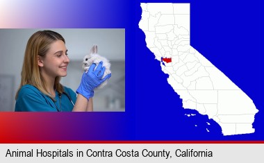 young female vet caring for a bunny; Contra Costa County highlighted in red on a map