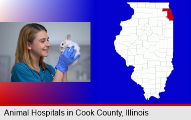 young female vet caring for a bunny; Cook County highlighted in red on a map