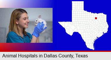 young female vet caring for a bunny; Dallas County highlighted in red on a map