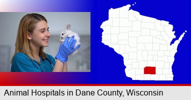 young female vet caring for a bunny; Dane County highlighted in red on a map