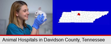 young female vet caring for a bunny; Davidson County highlighted in red on a map