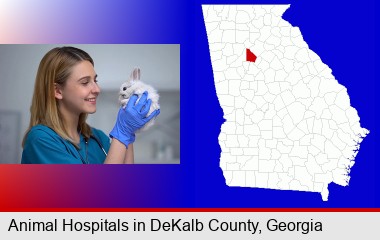 young female vet caring for a bunny; DeKalb County highlighted in red on a map