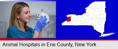 young female vet caring for a bunny; Erie County highlighted in red on a map