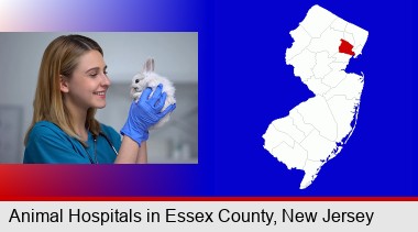 young female vet caring for a bunny; Essex County highlighted in red on a map