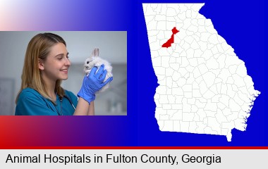 young female vet caring for a bunny; Fulton County highlighted in red on a map