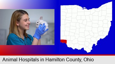 young female vet caring for a bunny; Hamilton County highlighted in red on a map