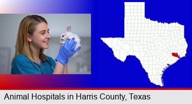 young female vet caring for a bunny; Harris County highlighted in red on a map