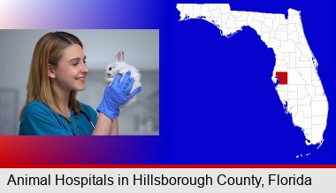 young female vet caring for a bunny; Hillsborough County highlighted in red on a map