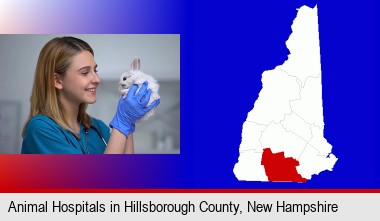 young female vet caring for a bunny; Hillsborough County highlighted in red on a map