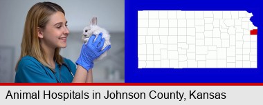 young female vet caring for a bunny; Johnson County highlighted in red on a map