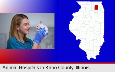young female vet caring for a bunny; Kane County highlighted in red on a map