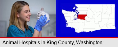 young female vet caring for a bunny; King County highlighted in red on a map