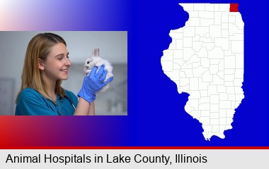 young female vet caring for a bunny; LaSalle County highlighted in red on a map