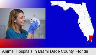 young female vet caring for a bunny; Miami-Dade County highlighted in red on a map