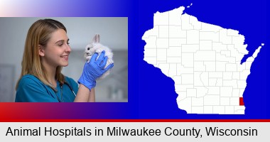 young female vet caring for a bunny; Milwaukee County highlighted in red on a map