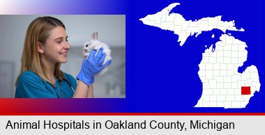 young female vet caring for a bunny; Oakland County highlighted in red on a map