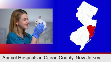 young female vet caring for a bunny; Ocean County highlighted in red on a map
