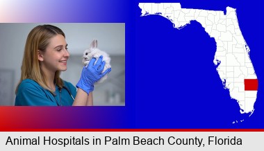 young female vet caring for a bunny; Palm Beach County highlighted in red on a map