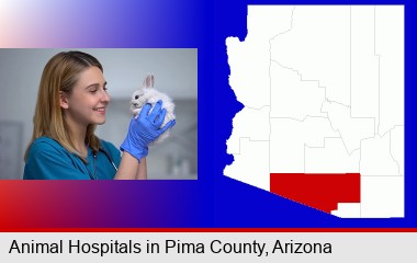 young female vet caring for a bunny; Pima County highlighted in red on a map