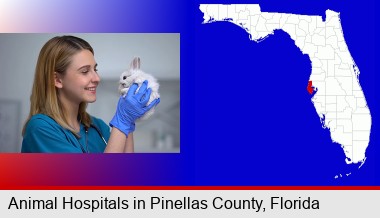 young female vet caring for a bunny; Pinellas County highlighted in red on a map