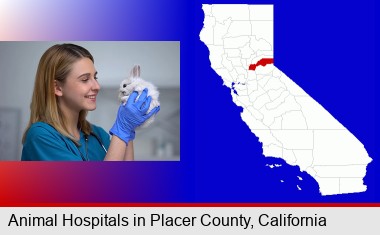 young female vet caring for a bunny; Placer County highlighted in red on a map