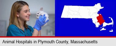 young female vet caring for a bunny; Plymouth County highlighted in red on a map