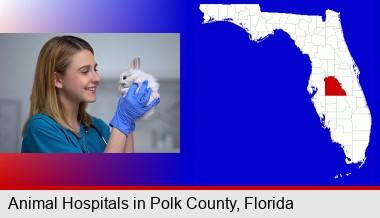 young female vet caring for a bunny; Polk County highlighted in red on a map